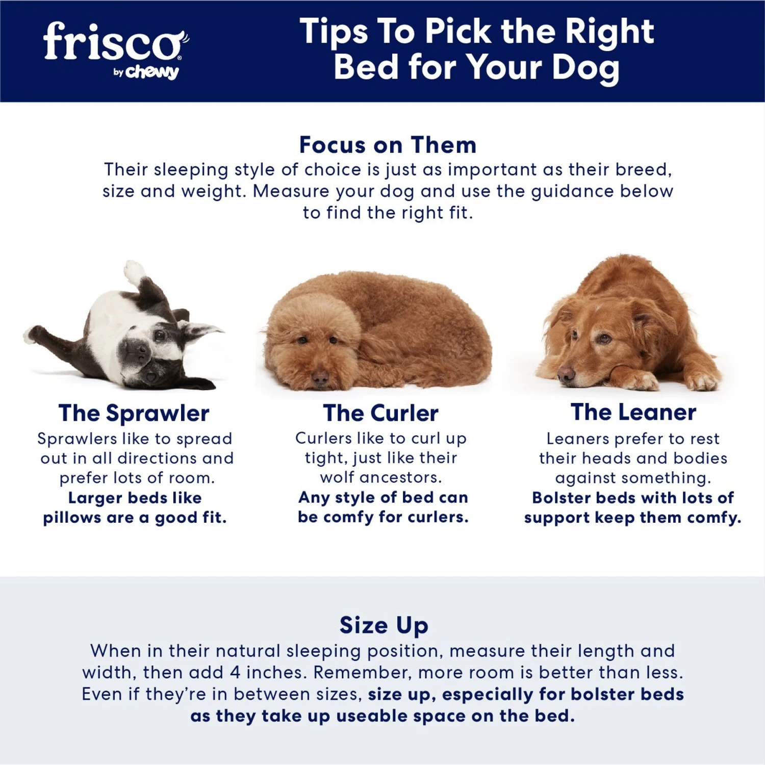 Frisco Pillow Dog Bed W/ Removeable Cover 7 Frisco Pillow Dog Bed W/ Removeable Cover - Image 5