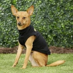 Frisco Security Dog & Cat T-Shirt 15 Frisco Security Dog & Cat T-Shirt -Frisco 139501 PT5. AC SS1800 V1624603968
