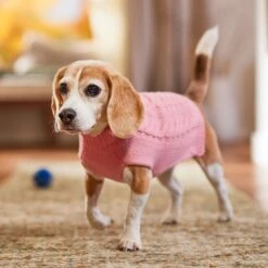 Frisco Dog & Cat Cable Knitted Sweater -Frisco 144254 PT5. AC SS1800 V1541456525