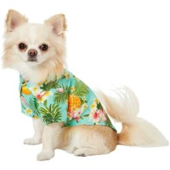Frisco Pineapple Hawaiian Camp Dog & Cat Shirt -Frisco 153596 PT3. AC SS1800 V1673361409