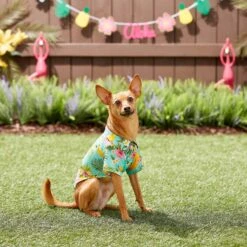 Frisco Pineapple Hawaiian Camp Dog & Cat Shirt -Frisco 153596 PT7. AC SS1800 V1644884316