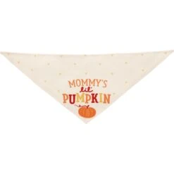Frisco Mommy's Lil Pumpkin Dog & Cat Bandana -Frisco 158936 PT3. AC SS1800 V1689628812