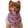 Frisco I Do Tricks For Treats Dog & Cat Bandana -Frisco 158938 MAIN. AC SS1800 V1633728989