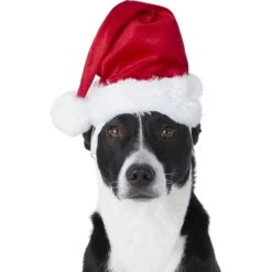 Frisco Holiday Dog & Cat Santa Hat, 1 Count -Frisco 160054 PT2. AC SS1800 V1669100718
