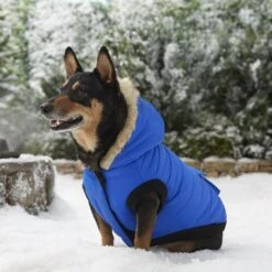 Frisco Heavyweight Anchorage Insulated Dog & Cat Parka -Frisco 160250 PT7. AC SS1800 V1567011259