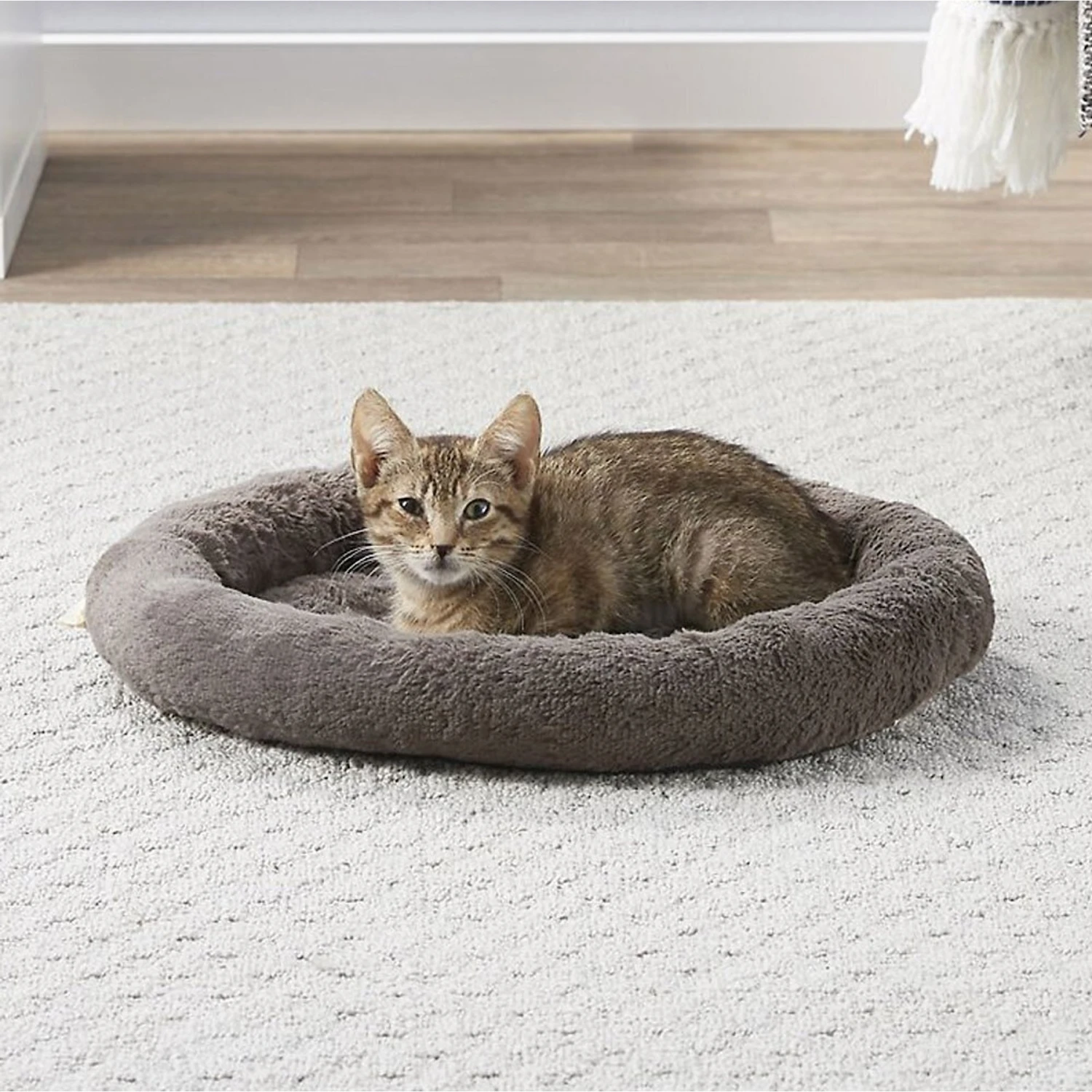Frisco Self Warming Bolster Round Kitten Bed 3 Frisco Self Warming Bolster Round Kitten Bed