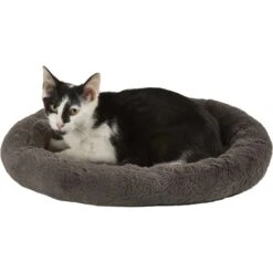 Frisco Self Warming Bolster Round Kitten Bed 7 Frisco Self Warming Bolster Round Kitten Bed -Frisco 165315 PT2. AC SS1800 V1568211141