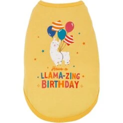Frisco Llama-zing Birthday Dog & Cat T-Shirt -Frisco 191240 PT2. AC SS1800 V1582053523