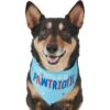 Frisco Pawtriot Dog & Cat Bandana 2 Frisco Pawtriot Dog & Cat Bandana -Frisco 191277 Main. AC SS1800 V1584623866