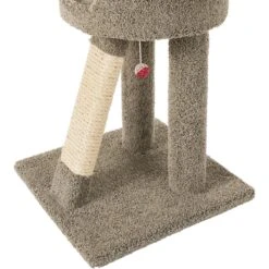 Frisco 24-in Real Carpet Cat Scratching Perch With Toy -Frisco 208960 PT4. AC SS1800 V1589221657