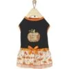 Frisco Pumpkin Patch Cutie Dog & Cat Dress -Frisco 215784 MAIN. AC SS1800 V1632424571