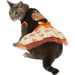 Frisco Pumpkin Patch Cutie Dog & Cat Dress -Frisco 215784 PT2. AC SS1800 V1632429076