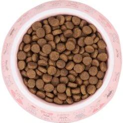 Frisco Pink Cute Cats Melamine Bowl -Frisco 216043 PT4. AC SS1800 V1591020694