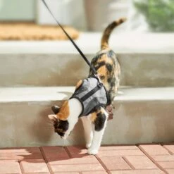 Frisco Wrap Cat Harness 14 Frisco Wrap Cat Harness -Frisco 230691 PT5. AC SS1800 V1601096758