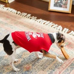 Frisco Love Machine Dog & Cat T-shirt 16 Frisco Love Machine Dog & Cat T-shirt -Frisco 238160 PT6. AC SS1800 V1608595661