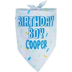 Frisco Birthday Boy Personalized Dog & Cat Bandana
