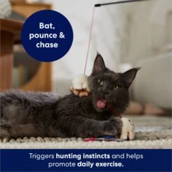 Frisco Zoomies & Chill Popcorn Teaser Wand Cat Toy With Catnip -Frisco 241713 PT5. AC SS1800 V1691785246