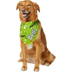 Frisco Halloween Boo! Personalized Dog & Cat Bandana 16 Frisco Halloween Boo! Personalized Dog & Cat Bandana -Frisco 244583 PT6. AC SS1800 V1618510307