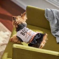 Frisco Boss Babe Dog & Cat Dress -Frisco 248674 PT7. AC SS1800 V1613666625