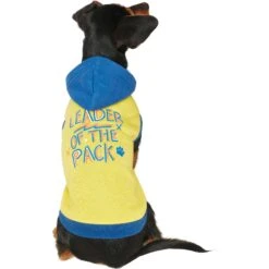 Frisco Leader Of The Pack Dog & Cat Hoodie 11 Frisco Leader Of The Pack Dog & Cat Hoodie -Frisco 248905 PT2. AC SS1800 V1637686650