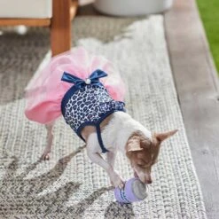 Frisco Leopard Print Dog & Cat Dress -Frisco 249051 PT5. AC SS1800 V1644960386