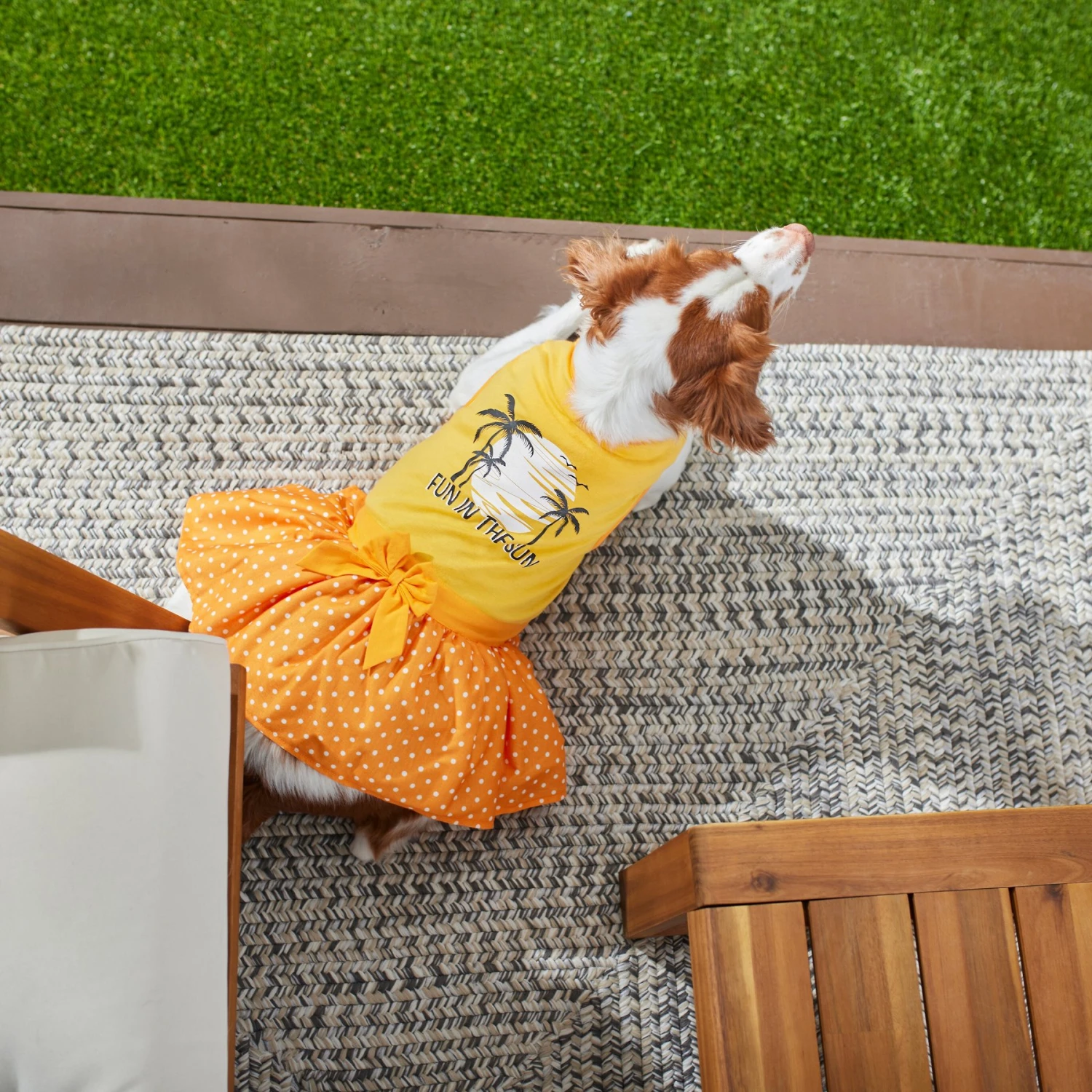 Frisco Fun In The Sun Dog & Cat Dress 8 Frisco Fun In The Sun Dog & Cat Dress - Image 6