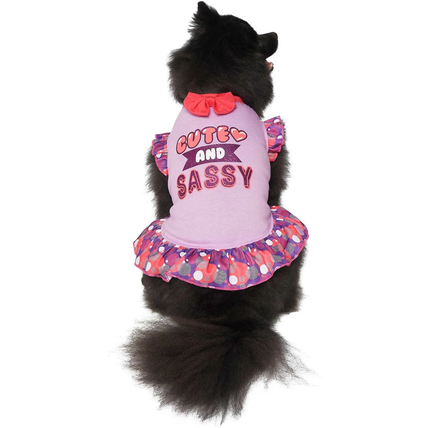 Frisco Cute & Sassy Dog & Cat Dress 3 Frisco Cute & Sassy Dog & Cat Dress