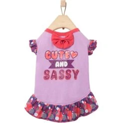 Frisco Cute & Sassy Dog & Cat Dress 12 Frisco Cute & Sassy Dog & Cat Dress -Frisco 249073 PT3. AC SS1800 V1644960094