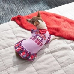 Frisco Cute & Sassy Dog & Cat Dress 14 Frisco Cute & Sassy Dog & Cat Dress -Frisco 249073 PT5. AC SS1800 V1644960392