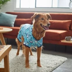 Frisco Happy Shark Dog & Cat Jersey PJs 13 Frisco Happy Shark Dog & Cat Jersey PJs -Frisco 249122 PT7. AC SS1800 V1614276183