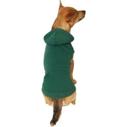 Frisco Dog & Cat Basic Hoodie -Frisco 249154 PT2. AC SS1800 V1633073480