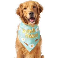 Frisco Brunch Please Dog & Cat Bandana 13 Frisco Brunch Please Dog & Cat Bandana -Frisco 249207 PT3. AC SS1800 V1696597730