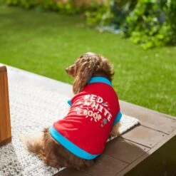 Frisco Red, White & Boop Dog & Cat T-Shirt -Frisco 249242 PT7. AC SS1800 V1614368539