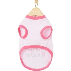 Frisco It's My Birthday Dog & Cat T-Shirt, Pink -Frisco 249255 PT3. AC SS1800 V1624614153