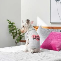 Frisco I Love Daddy Dog & Cat T-Shirt, Gray -Frisco 249263 PT5. AC SS1800 V1624592867