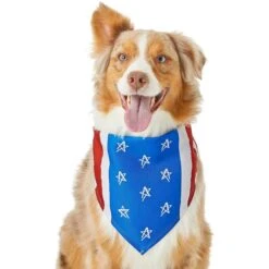 Frisco Stars & Stripes Dog & Cat Bandana -Frisco 249329 PT2. AC SS1800 V1632418569