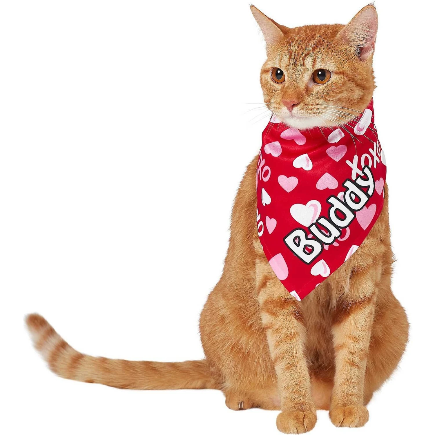 Frisco XOXO Hearts Personalized Dog & Cat Bandana 10 Frisco XOXO Hearts Personalized Dog & Cat Bandana - Image 8