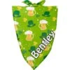 Frisco Green Ale Personalized Dog & Cat Bandana -Frisco 254207 MAIN. AC SS1800 V1608266540