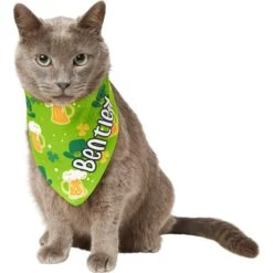 Frisco Green Ale Personalized Dog & Cat Bandana 18 Frisco Green Ale Personalized Dog & Cat Bandana -Frisco 254207 PT7. AC SS1800 V1618510956