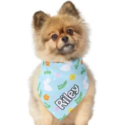 Frisco Easter Bunny Personalized Dog & Cat Bandana -Frisco 254211 PT6. AC SS1800 V1618509425