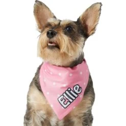 Frisco Polka Dot Personalized Dog & Cat Bandana -Frisco 254223 PT6. AC SS1800 V1696432728