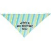 Frisco Big Brother Personalized Dog & Cat Bandana
