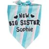 Frisco Big Sister Personalized Dog & Cat Bandana -Frisco 254235 MAIN. AC SS1800 V1619559736