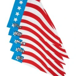 Frisco Americana Personalized Dog & Cat Bandana -Frisco 254239 PT4. AC SS1800 V1619558868