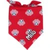 Frisco Patriotic Paws Personalized Dog & Cat Bandana -Frisco 254243 MAIN. AC SS1800 V1619560378
