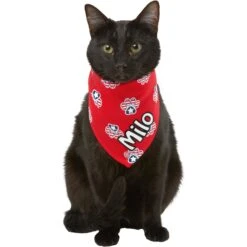 Frisco Patriotic Paws Personalized Dog & Cat Bandana -Frisco 254243 PT7. AC SS1800 V1619559130