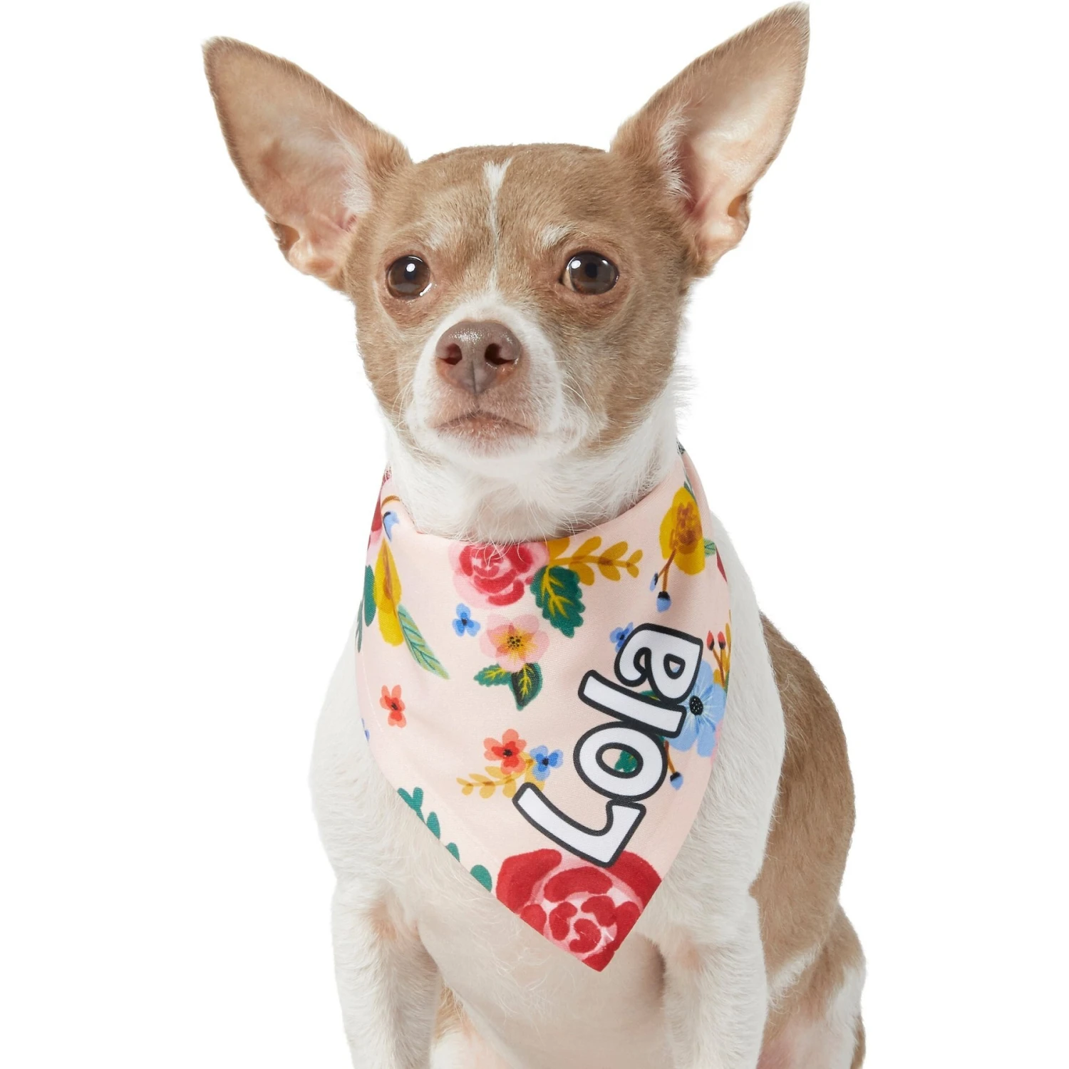 Frisco Floral Personalized Dog & Cat Bandana 9 Frisco Floral Personalized Dog & Cat Bandana - Image 7