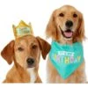 Frisco Happy Birthday Dog & Cat Crown & Frisco Dog & Cat Birthday Bandana -Frisco 255523 MAIN. AC SS1800 V1603716093