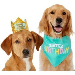 Frisco Happy Birthday Dog & Cat Crown & Frisco Dog & Cat Birthday Bandana