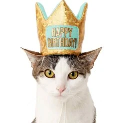 Frisco Happy Birthday Dog & Cat Crown & Frisco Dog & Cat Birthday Bandana 9 Frisco Happy Birthday Dog & Cat Crown & Frisco Dog & Cat Birthday Bandana -Frisco 255523 PT2. AC SS1800 V1603716120
